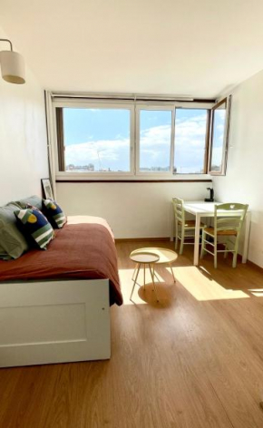 Charming Bright Sunny Studio in Belleville